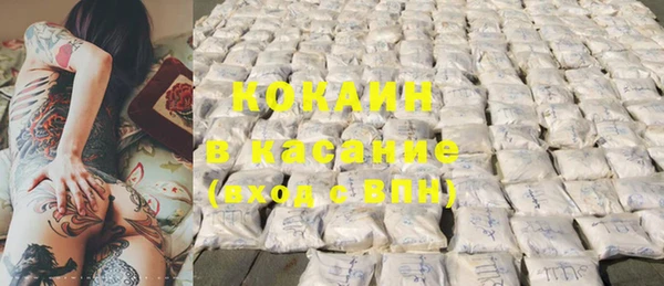 хмурый Бородино