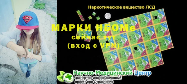 хмурый Бородино