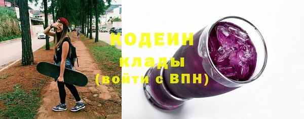 хмурый Бородино