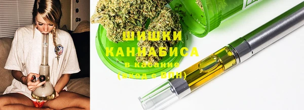 хмурый Бородино